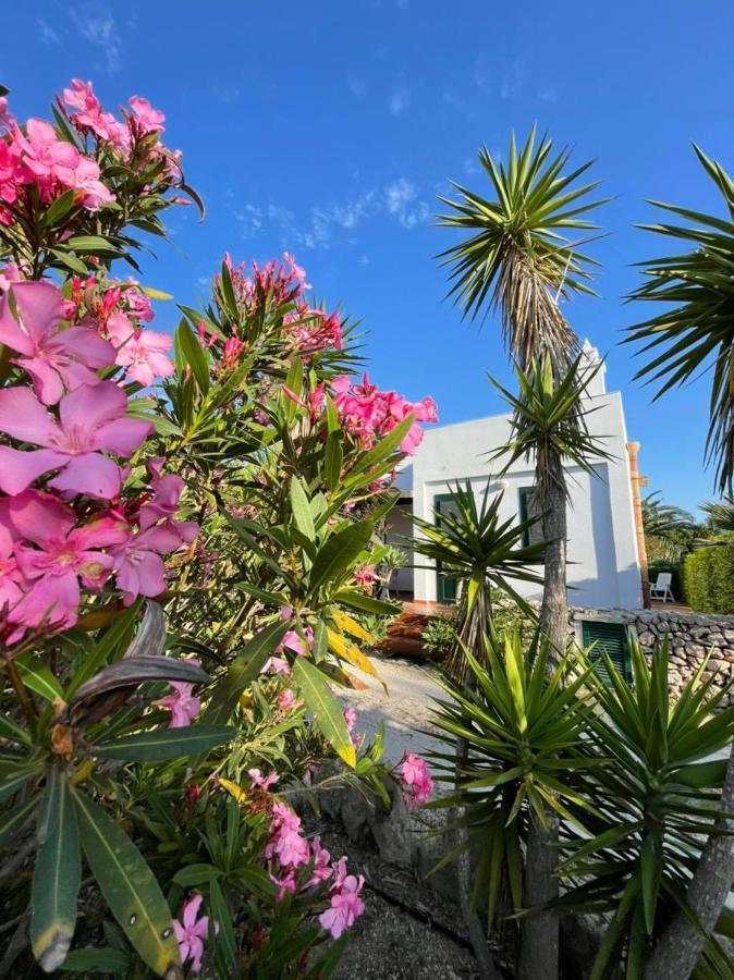 Villa Dei Gabbiani Favignana Ngoại thất bức ảnh